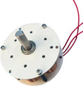 20W Miniature Disc Iron Core Generator, Strong Magnetic Low Speed High Power Generation Multi Pole Three-Phase Mini Water Wind Power AC Generator(2pcs)