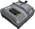 FLEX 24V 550W Lithium-Ion Battery Super Charger - FX0431-Z