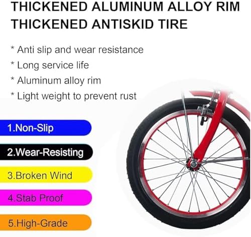 Adult Tricycle with Dual Brakes – 3-Wheel Cruiser Bike for Seniors, Women & Men – Low Step-Through Design for Comfortable Cycling, Cargo & Passenger Transport, Adjustable Seat & Handlebar