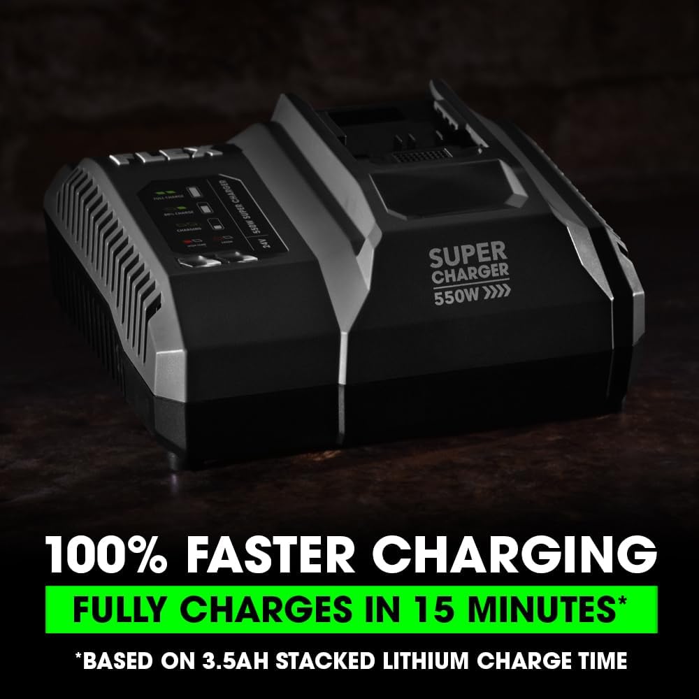FLEX 24V 550W Lithium-Ion Battery Super Charger - FX0431-Z