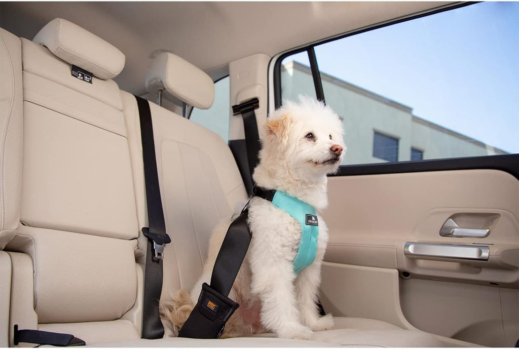 Clickit Sport Plus - Crash-Tested and Safety Certified Car Seat Belt Harness for Dogs (Extra Large, Orange Dream)