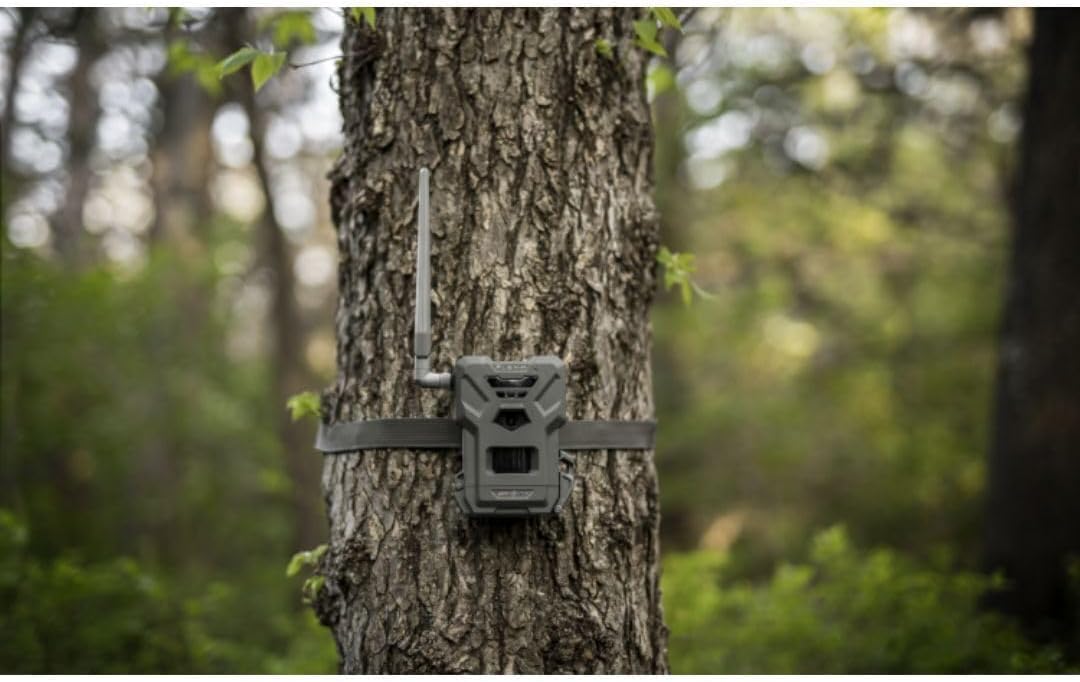 SPYPOINT Flex-M Solar Bundle - Cellular Trail Camera with Solar Panel, Best in Hunting Accessories, No WiFi Needed, GPS, Night Vision, Motion Activated, Dual-Sim LTE, IP65 Water-Resistant Game Camera