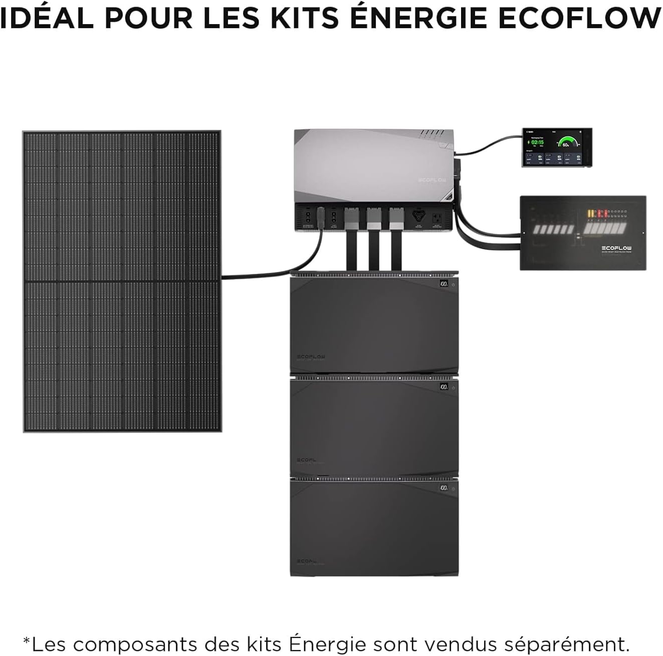 EcoFlow ZMS331-2-AKIT-2 100W Rigid Robust Durable Solar Panel - 2 PC