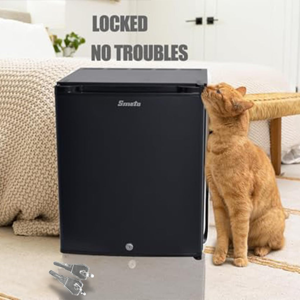 SMETA Mini Fridge with Lock and Key Quiet Lockable No Noise Absorption Mini Medical Refrigerator with Lock 12V/110V Compact Portable DC Locking Fridge for Office Van Storage Dorm, 1.0 Cu.Ft, Black