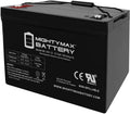 Mighty Max Battery 12V 100Ah SLA Battery for Patriot Solar 100W Portable Generator