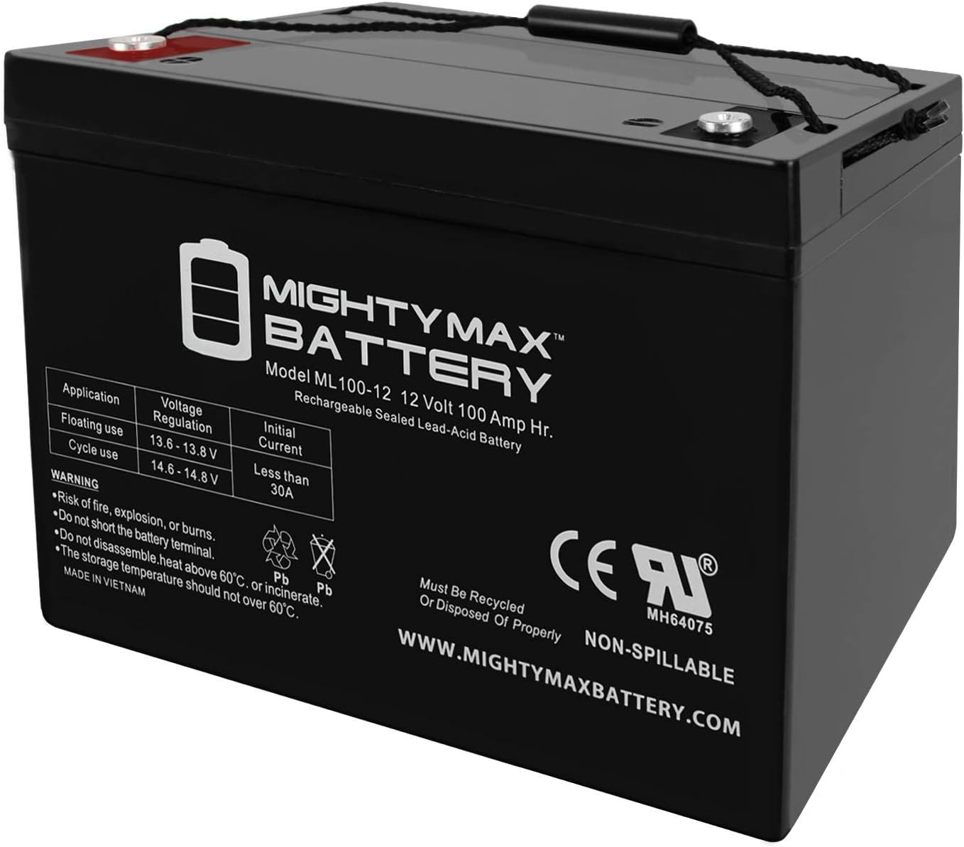 Mighty Max Battery 12V 100Ah SLA Battery for Patriot Solar 100W Portable Generator