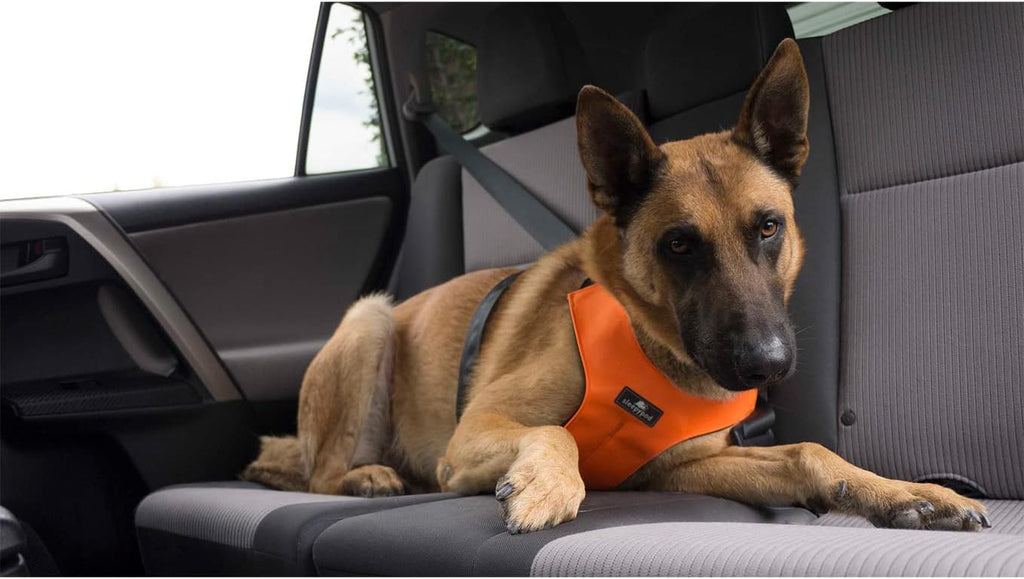Clickit Sport Plus - Crash-Tested and Safety Certified Car Seat Belt Harness for Dogs (Extra Large, Orange Dream)
