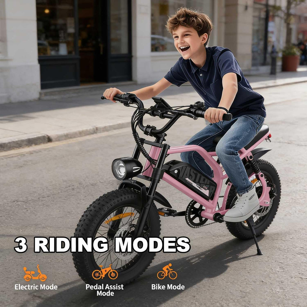 AVDLBIKE Electric Bike, 16'' Fat Tire E-Bike for Teens/Adults, 500W Small E-Bike with 36V/12.8Ah Removable Battery, Up to 22MPH, 45 Mile Range, Electric Dirt/Mountain Bike for Woman/Men A13