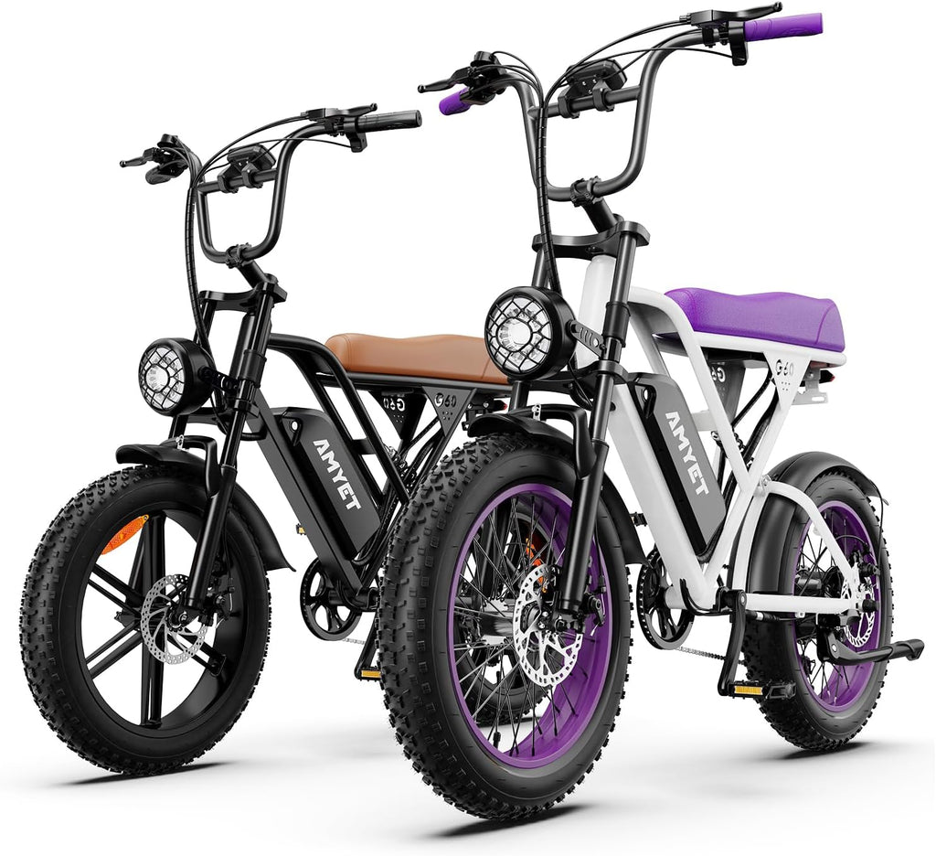 AMYET V9-G60 Electric Bike for Adults, 48V 20Ah(960WH) Ebike with Removable Battery, 20' Fat Tire E Dirt Bike,Dual Shock Absorber, Adults Electric Bike with UL 2849 Certificaed