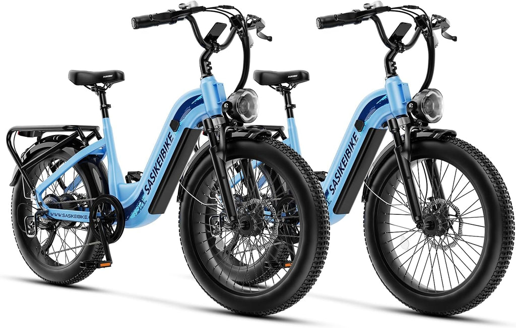 1500W Motor Electric Bike for Adults & Teenager, 48V 20AH Removable Battery Ebike, 24inch Fat Tire Electric Bicycle, Step-Thru E Bike for Commuting & Mountain, Front Suspension