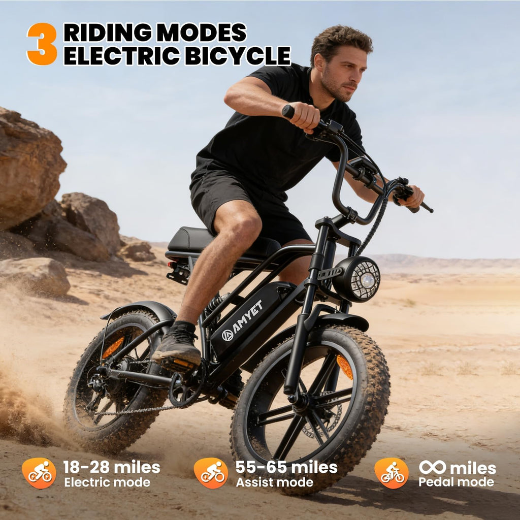 AMYET V9-G60 Electric Bike for Adults, 48V 20Ah(960WH) Ebike with Removable Battery, 20' Fat Tire E Dirt Bike,Dual Shock Absorber, Adults Electric Bike with UL 2849 Certificaed