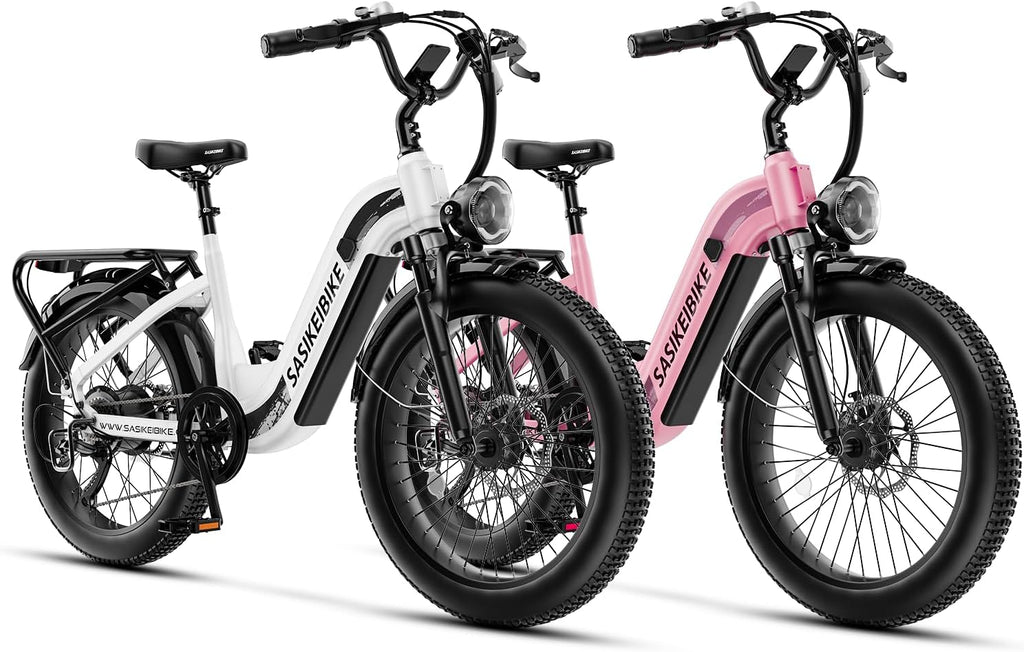 1500W Motor Electric Bike for Adults & Teenager, 48V 20AH Removable Battery Ebike, 24inch Fat Tire Electric Bicycle, Step-Thru E Bike for Commuting & Mountain, Front Suspension