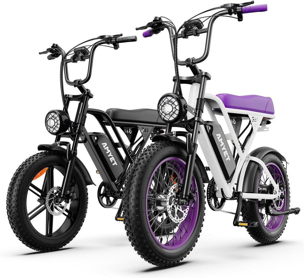 AMYET V9-G60 Electric Bike for Adults, 48V 20Ah(960WH) Ebike with Removable Battery, 20' Fat Tire E Dirt Bike,Dual Shock Absorber, Adults Electric Bike with UL 2849 Certificaed