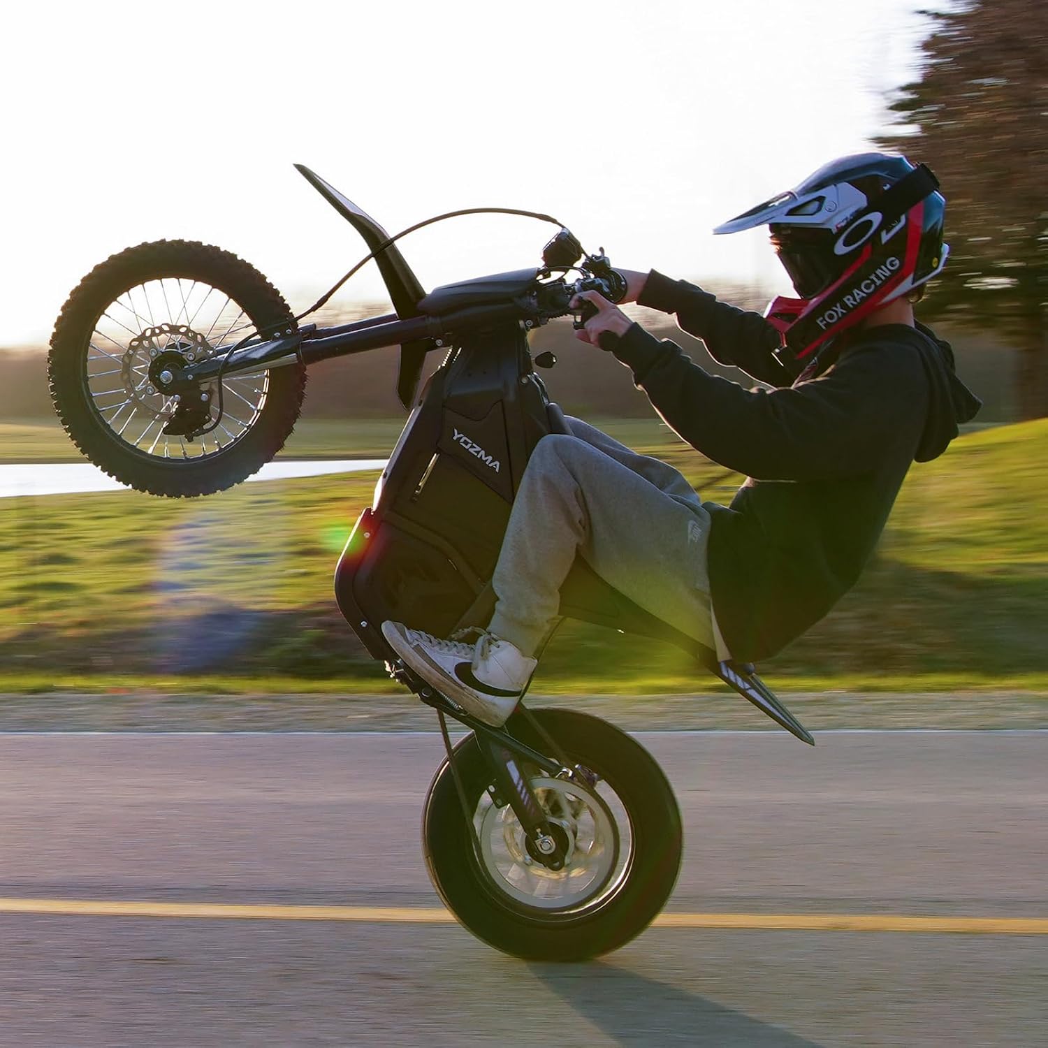 Yozma IN10 Electric Dirt Bike, 2600W 40MPH Electric-Motorcycle with 48V/23AH Battery Ebike, Full Hydraulic Brakes and Suspensions Mountain Off-Road E Dirt Bike, for Teens & Adults (Black)