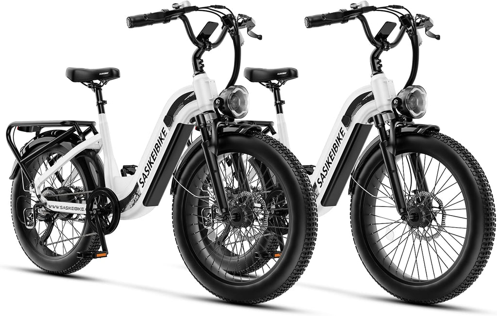 1500W Motor Electric Bike for Adults & Teenager, 48V 20AH Removable Battery Ebike, 24inch Fat Tire Electric Bicycle, Step-Thru E Bike for Commuting & Mountain, Front Suspension
