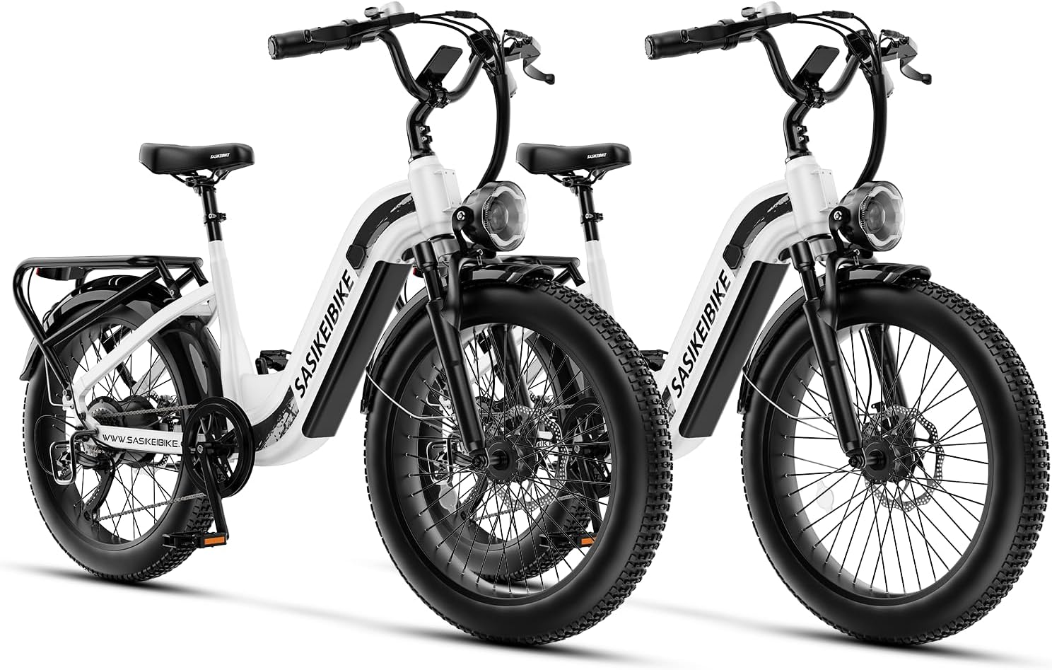 1500W Motor Electric Bike for Adults & Teenager, 48V 20AH Removable Battery Ebike, 24inch Fat Tire Electric Bicycle, Step-Thru E Bike for Commuting & Mountain, Front Suspension