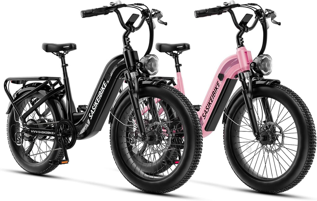 1500W Motor Electric Bike for Adults & Teenager, 48V 20AH Removable Battery Ebike, 24inch Fat Tire Electric Bicycle, Step-Thru E Bike for Commuting & Mountain, Front Suspension