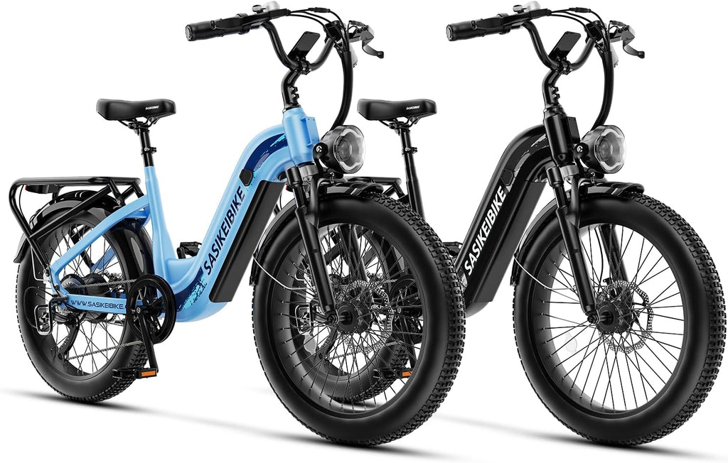 1500W Motor Electric Bike for Adults & Teenager, 48V 20AH Removable Battery Ebike, 24inch Fat Tire Electric Bicycle, Step-Thru E Bike for Commuting & Mountain, Front Suspension