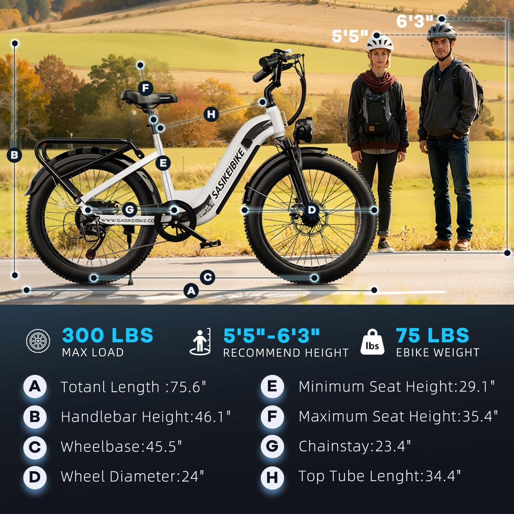 1500W Motor Electric Bike for Adults & Teenager, 48V 20AH Removable Battery Ebike, 24inch Fat Tire Electric Bicycle, Step-Thru E Bike for Commuting & Mountain, Front Suspension