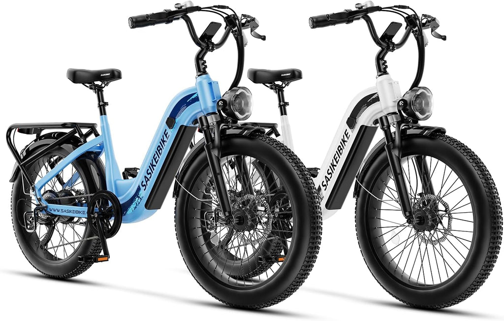1500W Motor Electric Bike for Adults & Teenager, 48V 20AH Removable Battery Ebike, 24inch Fat Tire Electric Bicycle, Step-Thru E Bike for Commuting & Mountain, Front Suspension