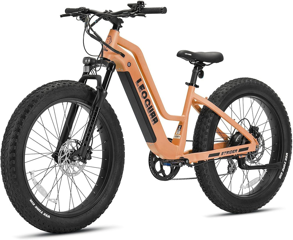 LEOGUAR 1000W Electric Bike for Adults, 26' Fat Tire Off-Road Ebike with Japanese Dapu Motor, 48V 720Wh LG Battery, 35MPH Max Speed, 60 Mile Range, Front Suspension, Smart LCD, Tektro Hydraulic Brakes