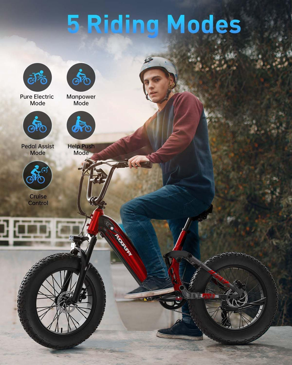PUCKIPUPPY Corgi Electric Bike for Adults 960W, 48V 20Ah Battery, New Longitudinal Suspension, 20'' Fat Tire Full Suspension Mountain Ebike, 28MPH & 80Miles Range, LCD Display, 7 Speed