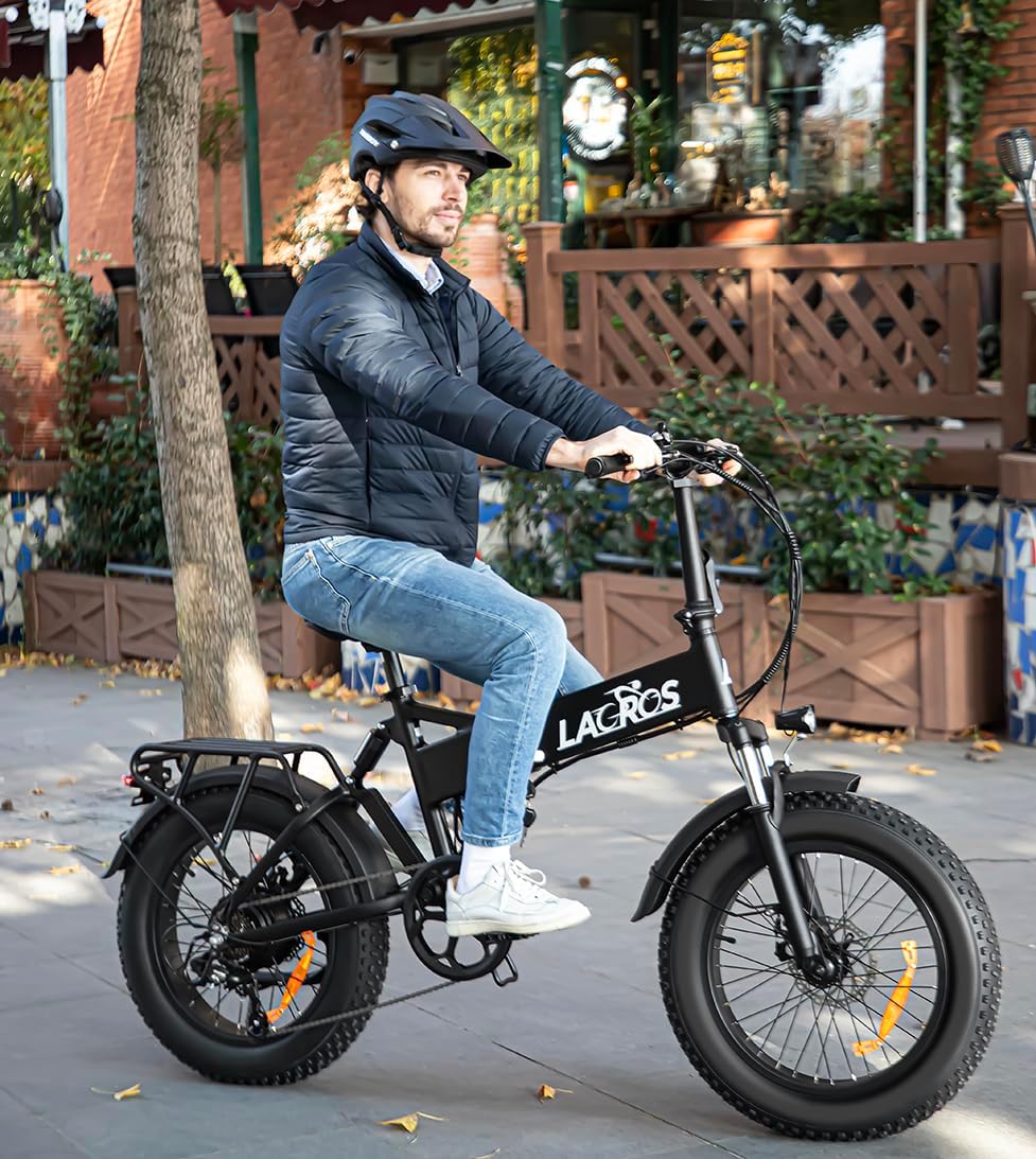 1000W Electric Bike for Adults, Fat Tire Ebikes 20' x 3.0 Electric Bicycle, 50-Mile Long Range, 48V Removable Battery Shock Absorber, 7-Speed Dual Disc Brakes Full Suspension Suitable for Commuting