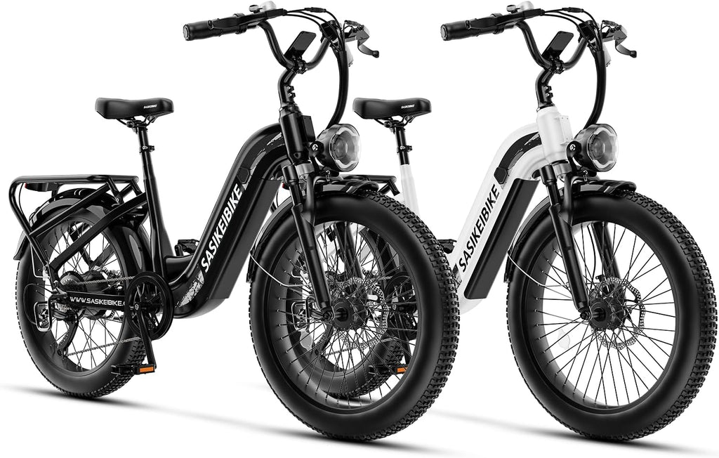 1500W Motor Electric Bike for Adults & Teenager, 48V 20AH Removable Battery Ebike, 24inch Fat Tire Electric Bicycle, Step-Thru E Bike for Commuting & Mountain, Front Suspension