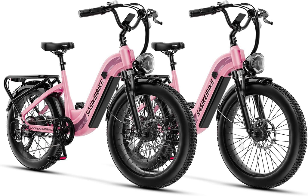 1500W Motor Electric Bike for Adults & Teenager, 48V 20AH Removable Battery Ebike, 24inch Fat Tire Electric Bicycle, Step-Thru E Bike for Commuting & Mountain, Front Suspension