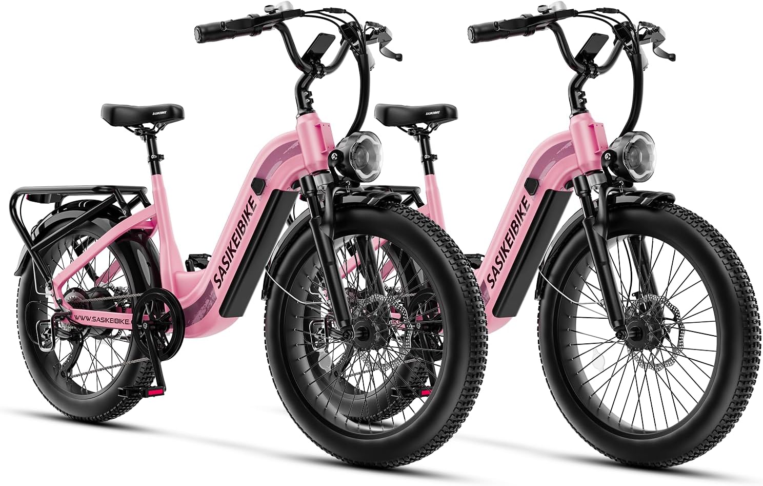 1500W Motor Electric Bike for Adults & Teenager, 48V 20AH Removable Battery Ebike, 24inch Fat Tire Electric Bicycle, Step-Thru E Bike for Commuting & Mountain, Front Suspension