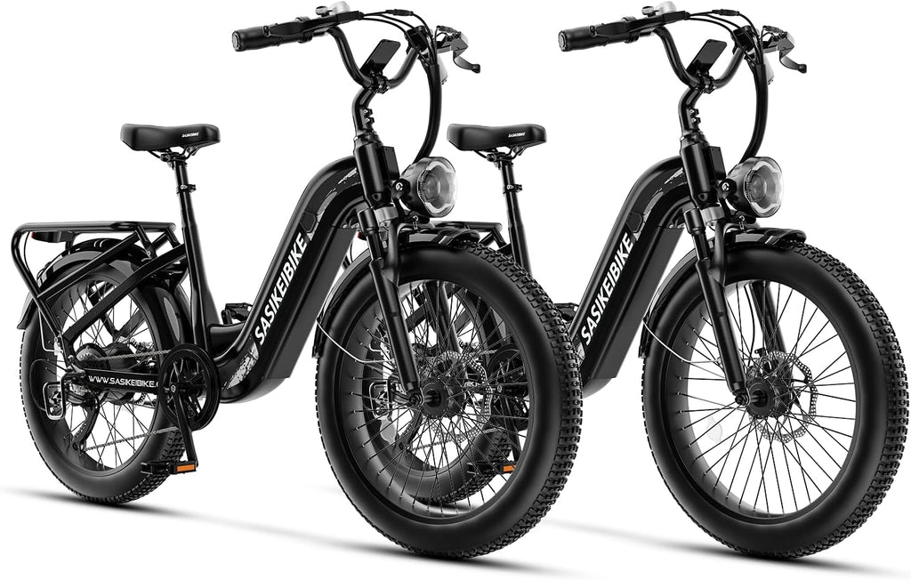 1500W Motor Electric Bike for Adults & Teenager, 48V 20AH Removable Battery Ebike, 24inch Fat Tire Electric Bicycle, Step-Thru E Bike for Commuting & Mountain, Front Suspension