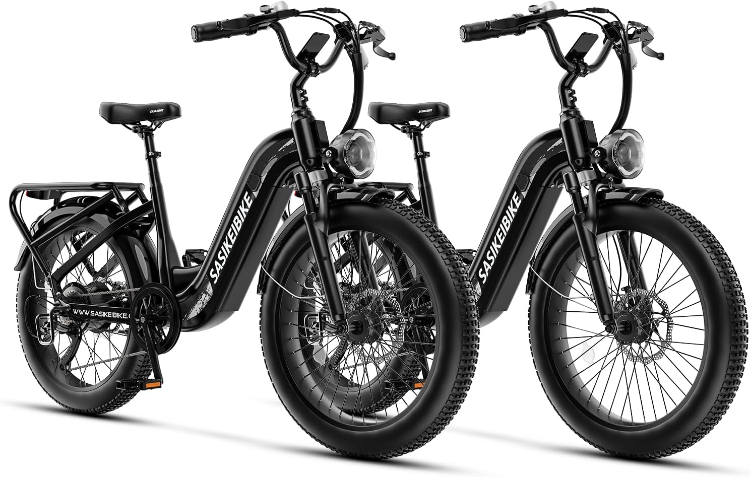 1500W Motor Electric Bike for Adults & Teenager, 48V 20AH Removable Battery Ebike, 24inch Fat Tire Electric Bicycle, Step-Thru E Bike for Commuting & Mountain, Front Suspension