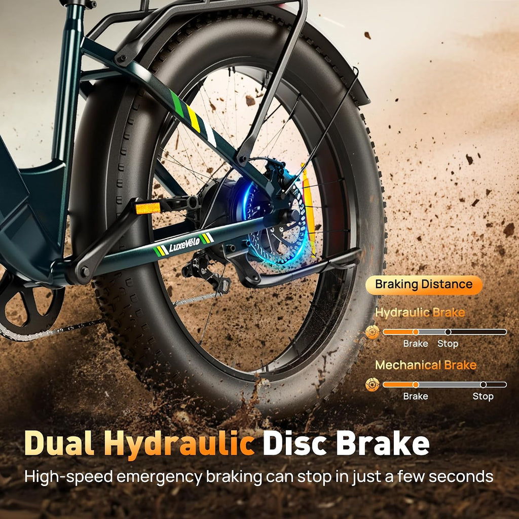 26' Fat Tire Electric Bike for Adults 1000W Peak Motor Electric Bike Ebike, Max Range 50 Miles & 20Mph Electric Mountain Bike with 48V 13AH Removable Battery, LCD Display