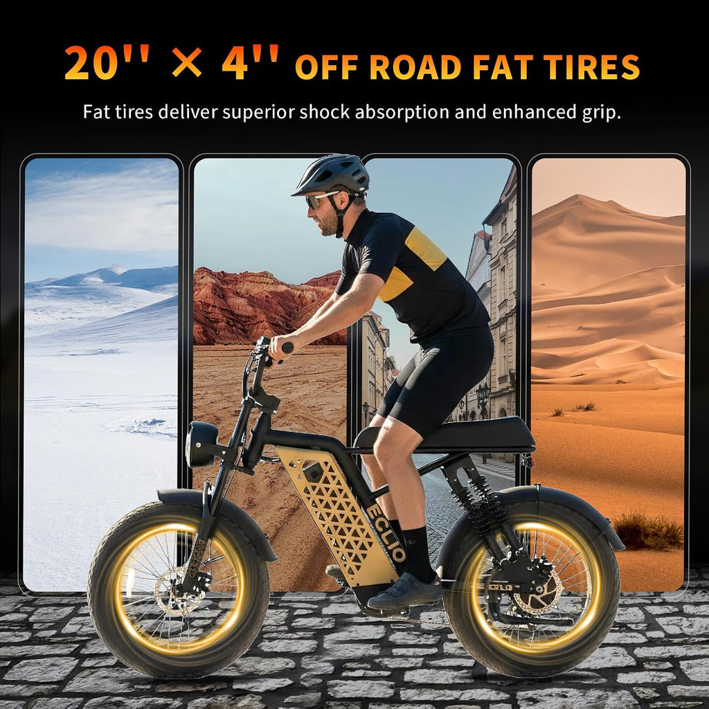 DDC SPORT Electric Bike for Adults, Peak 1000W Motor 28MPH, 48V 13Ah Battery 50Miles Ebike, 20'' Fat Tire Electric Dirt Bike for All Terrain, Off Road Mounatin Moped E-Bike, Full Suspension, 7-Speed
