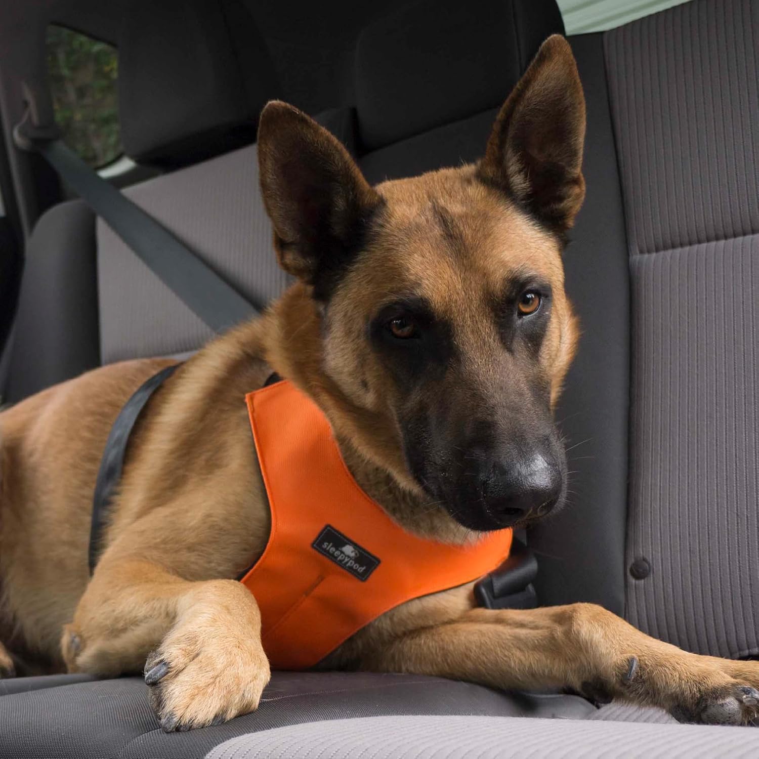 Clickit Sport Plus - Crash-Tested and Safety Certified Car Seat Belt Harness for Dogs (Extra Large, Orange Dream)
