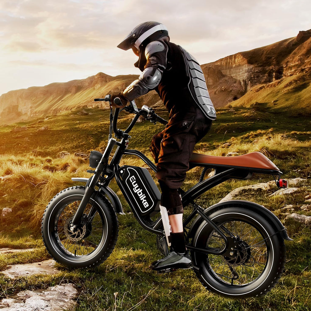 3000W/2000W Dual Motor/Single Motor Electric Bike for Adults, 48V 30AH/25AH Removable Battery Moped Style EBike, 30+MPH & 100 Miles 20' Fat Tires Electric Dirt Bike, Hydraulic Suspension Torque Sensor