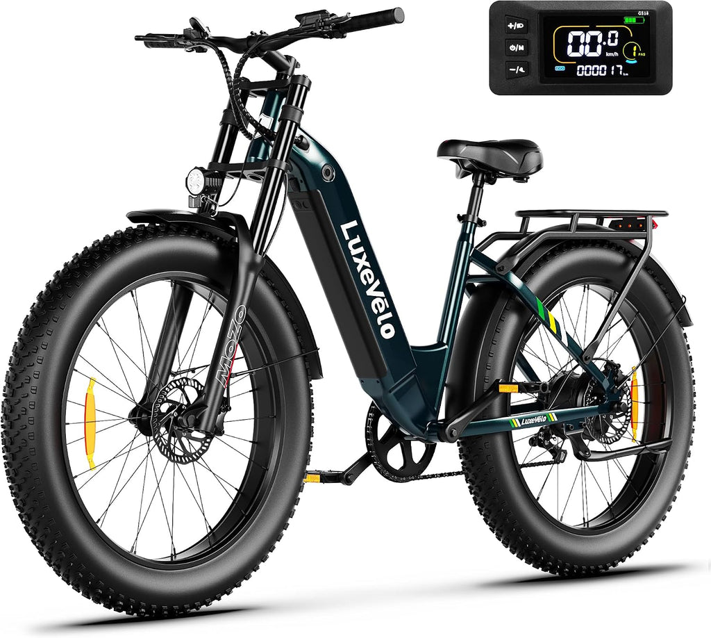 26' Fat Tire Electric Bike for Adults 1000W Peak Motor Electric Bike Ebike, Max Range 50 Miles & 20Mph Electric Mountain Bike with 48V 13AH Removable Battery, LCD Display