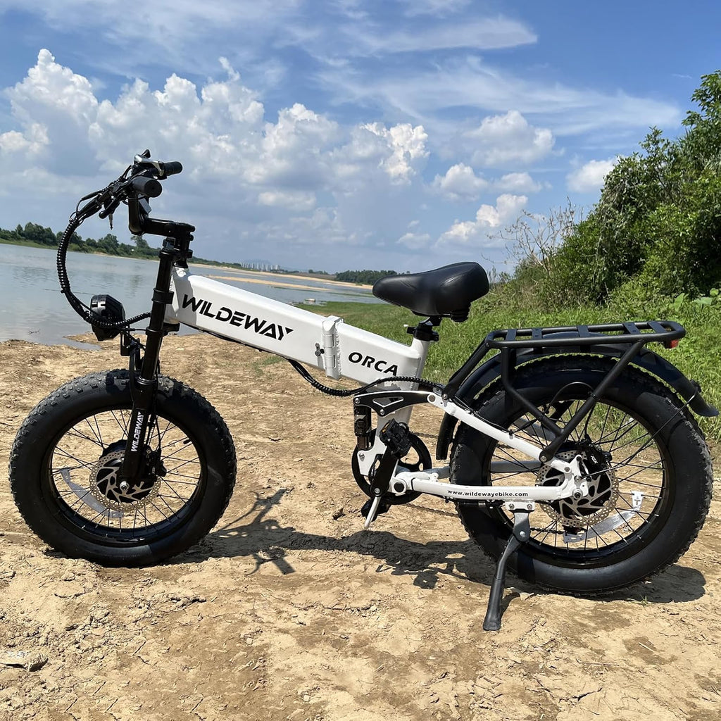 Wildeway Dual Motor 20' Fat Tire Electric Bike 2300W 20Ah Removable Battery 28 MPH Folding Ebike Off Road Mountain Full Suspension Long Range Foldable Electric Bicycle for Adults Men 2 Seat