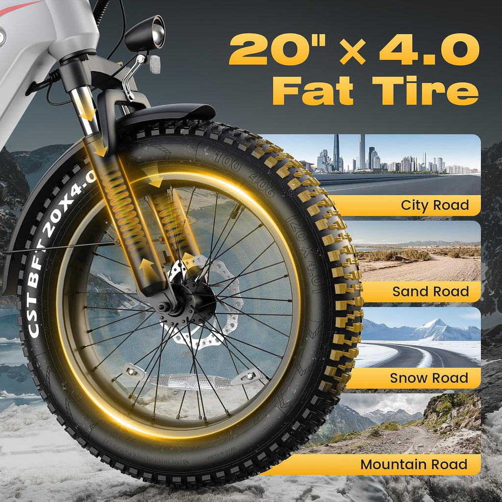 Wooken Electric Bike for Adults, 48V 624Wh Removable Battery Ebike with 60 Miles Long Range, 1000W Peak Brussless Motor, 20×4.0' Fat Tire E Bike,Step-Thru Electric Bicycle, SGS Certified to UL 2849