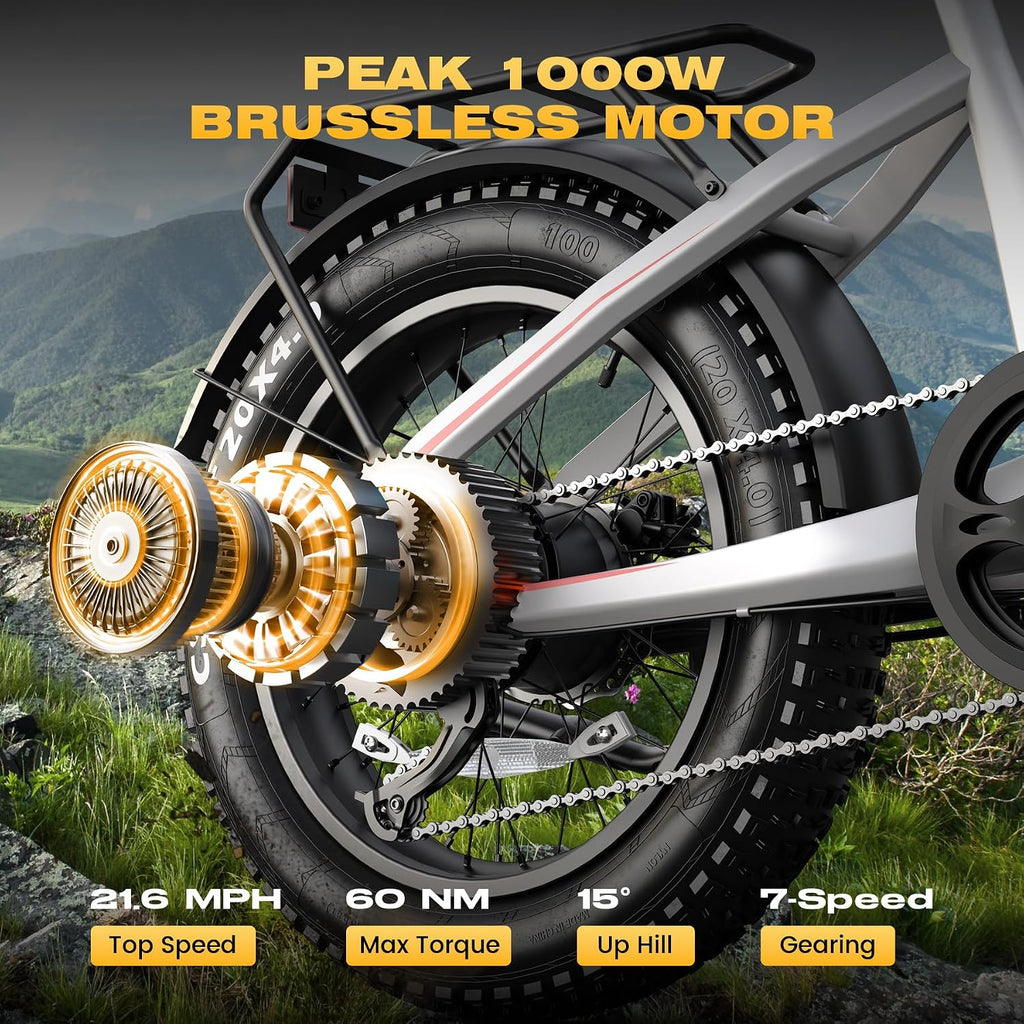 Wooken Electric Bike for Adults, 48V 624Wh Removable Battery Ebike with 60 Miles Long Range, 1000W Peak Brussless Motor, 20×4.0' Fat Tire E Bike,Step-Thru Electric Bicycle, SGS Certified to UL 2849