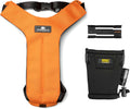 Clickit Sport Plus - Crash-Tested and Safety Certified Car Seat Belt Harness for Dogs (Extra Large, Orange Dream)