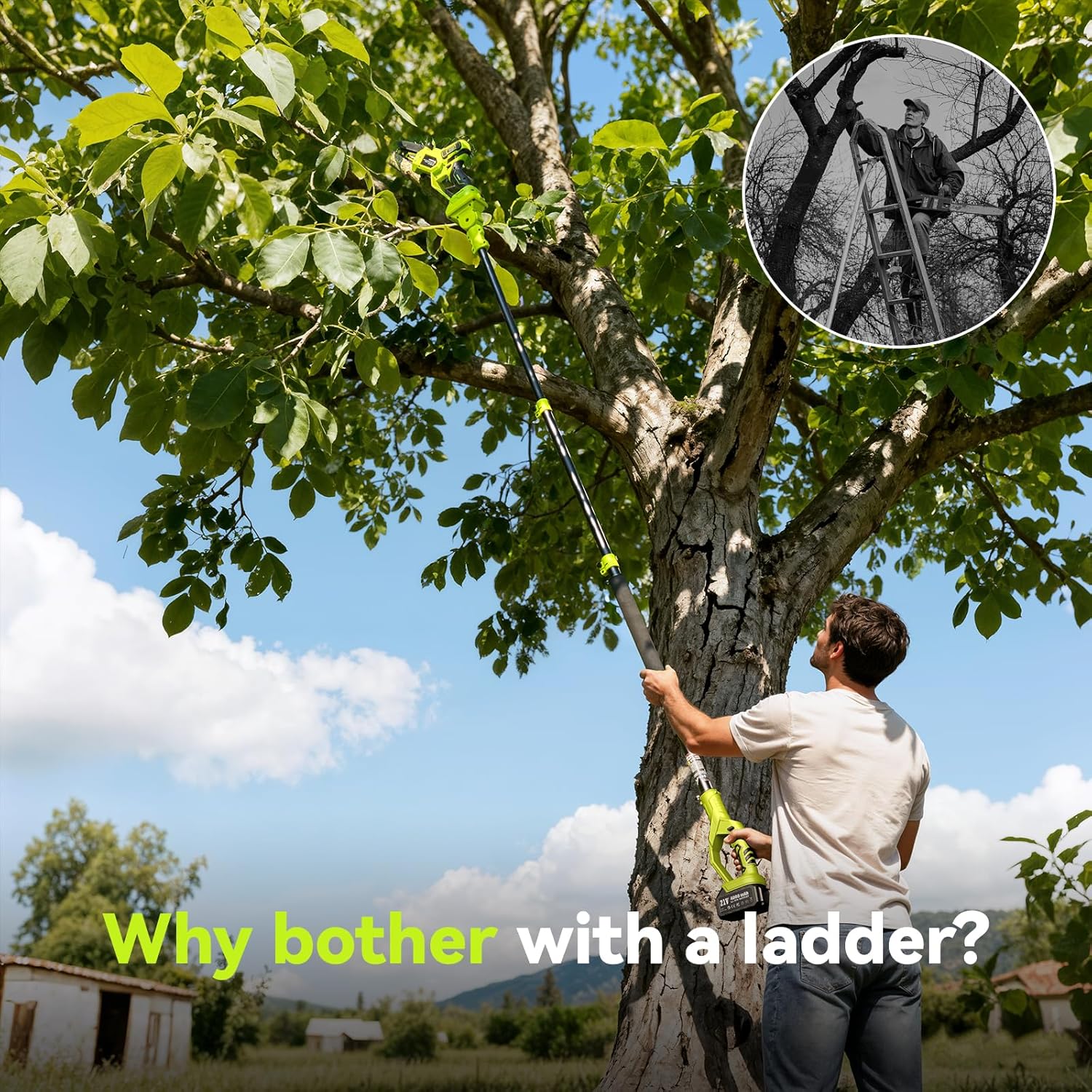 Electric Pole Saws for Tree Trimming, 8 Inch & 6 Inch Mini Chainsaw Cordless with Extension Pole, 16Ft Reach, 2x4.0Ah Battery, Auto Oiling, Tool-Free Chain Tensioning, Tree Trimmer for Branch Limb Cut