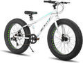 HILAND 24 26 Inch Fat Tire Mountain Bike for Men and Women, High Carbon Steel Frame Beach and Snow Wide Tire Adult Bicycle, 7-Speed and Dual-Disc Brake MTB