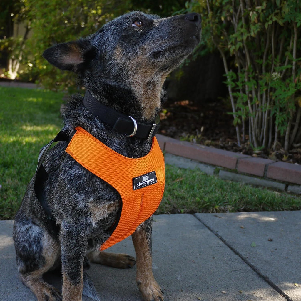 Clickit Sport Plus - Crash-Tested and Safety Certified Car Seat Belt Harness for Dogs (Extra Large, Orange Dream)