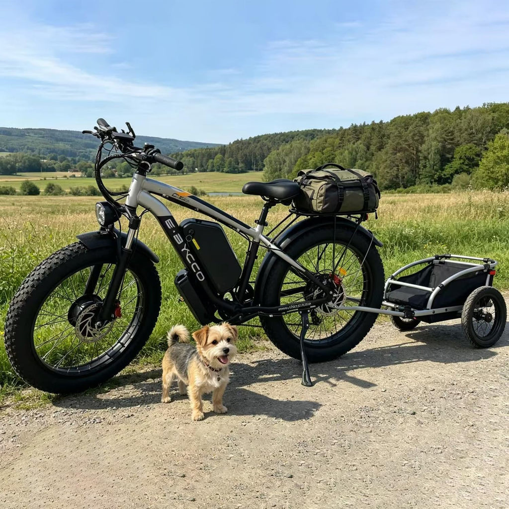 6000W Peak Dual Motor Electric Bike for Adults, 24' Fat Tire Ebikes 52V 32AH, Fast 45 MPH, 100 Miles Long Range, Hydraulic Brake, Pedal Assist Electric Bicycle for Off-Road Mountain Snow Commuter