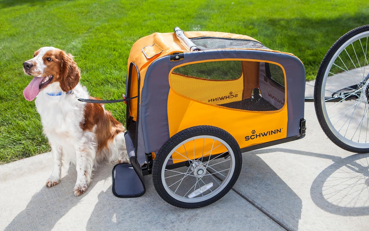 Schwinn 13-SC315 Rascal Bike Pet Trailer, For Small and Large Dogs, Lightweight, Tow with Bicycle, Up to 50 lbs. Small, Orange/Grey