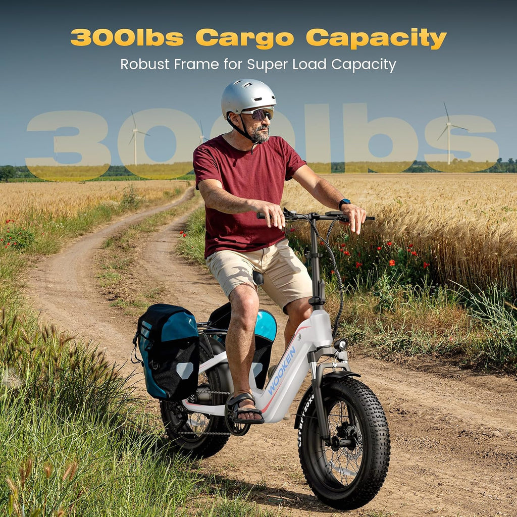 Wooken Electric Bike for Adults, 48V 624Wh Removable Battery Ebike with 60 Miles Long Range, 1000W Peak Brussless Motor, 20×4.0' Fat Tire E Bike,Step-Thru Electric Bicycle, SGS Certified to UL 2849