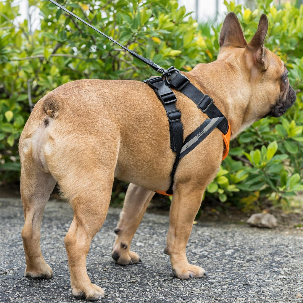 Clickit Sport Plus - Crash-Tested and Safety Certified Car Seat Belt Harness for Dogs (Extra Large, Orange Dream)