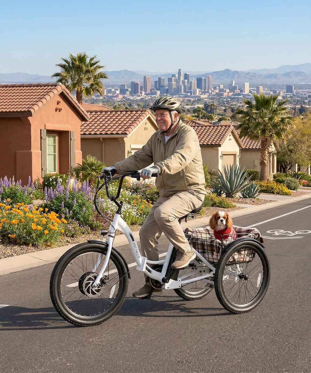 ANCHEER Electric Tricycle for Adults, Peak 600W Folding Electric Trike, 24' 499Wh Ebike for Seniors, 15.5MPH Electric Bike, Removable Battery, 3 Wheel, LCD, Rear Differential, Basket
